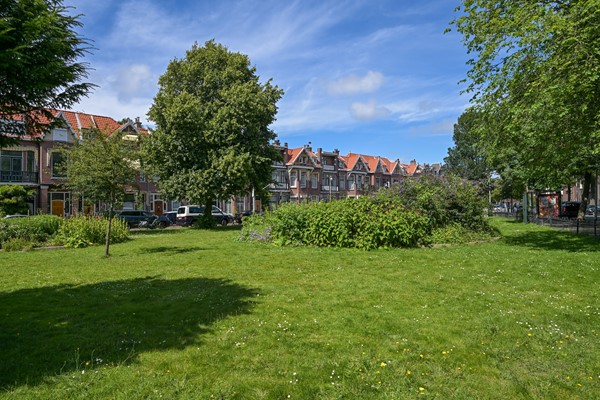 Medium property photo - Paulus Buijsstraat 48, 2582 CK The Hague
